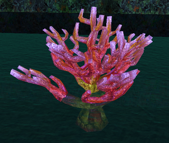 Red Coral.png