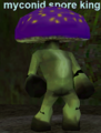 Myconid Spore King.png