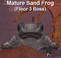 Mature Sand Frog.png