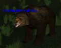 Loping Plains Grizzly.png