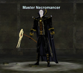 Master Necromancer.png